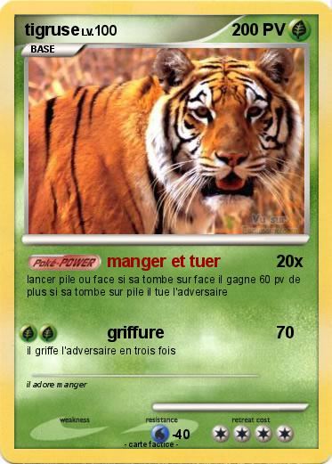Pokemon tigruse