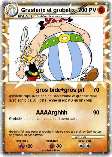 Pokemon Grasterix et grobelix
