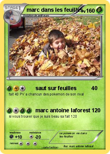 Pokemon marc dans les feuilles