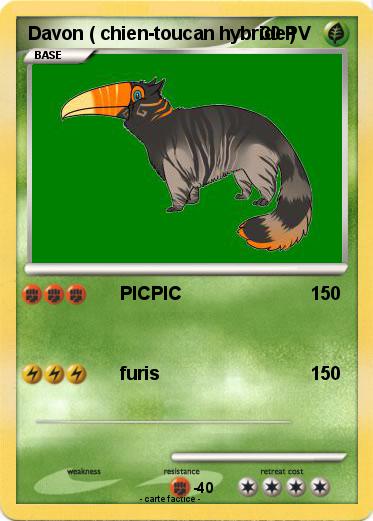 Pokemon Davon ( chien-toucan hybride )