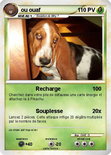 Pokemon ou ouaf