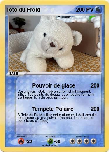 Pokemon Toto du Froid