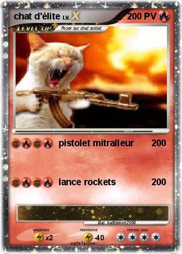 Pokemon chat d'élite