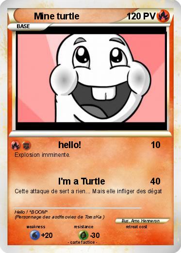 Pokemon Mine turtle