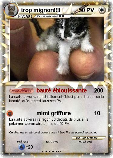 Pokemon trop mignon!!!!