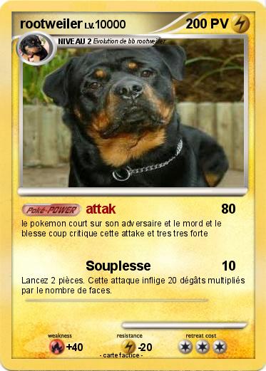 Pokemon rootweiler