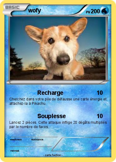 Pokemon wofy