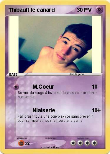 Pokemon Thibault le canard