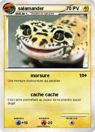 Pokemon salamander