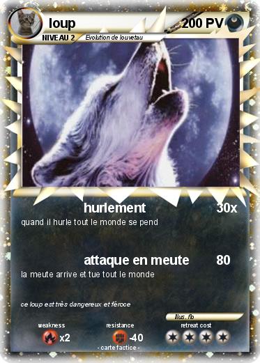 Pokemon loup