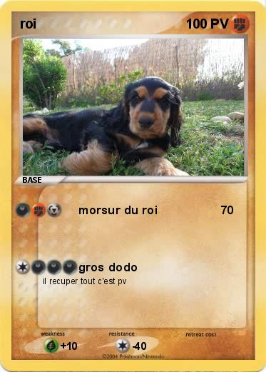 Pokemon roi