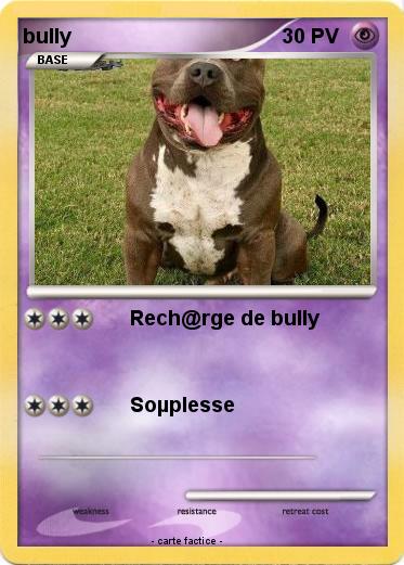 Pokemon bully