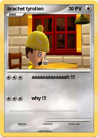 Pokemon brachet tyrolien