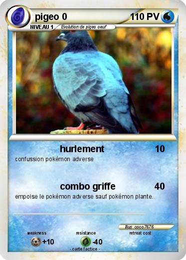 Pokemon pigeo 0