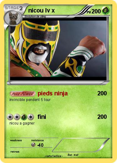 Pokemon nicou lv x
