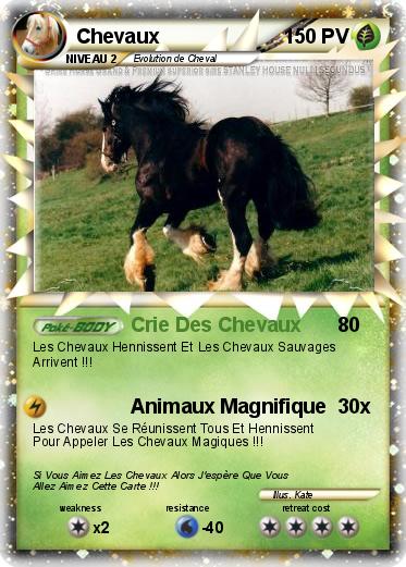 Pokemon Chevaux
