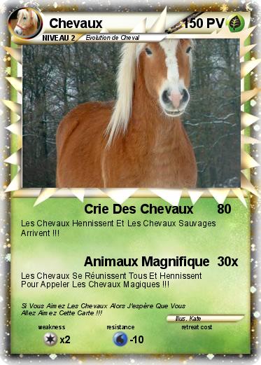 Pokemon Chevaux