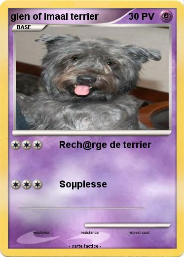 Pokemon glen of imaal terrier