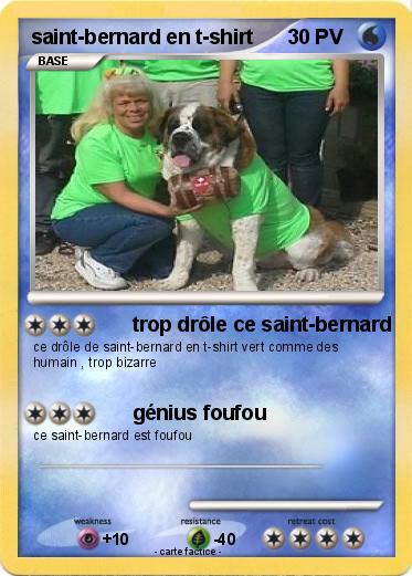Pokemon saint-bernard en t-shirt