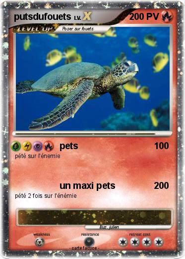 Pokemon putsdufouets