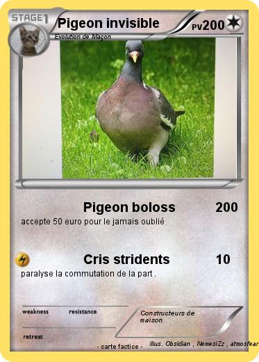 Pokemon Pigeon invisible