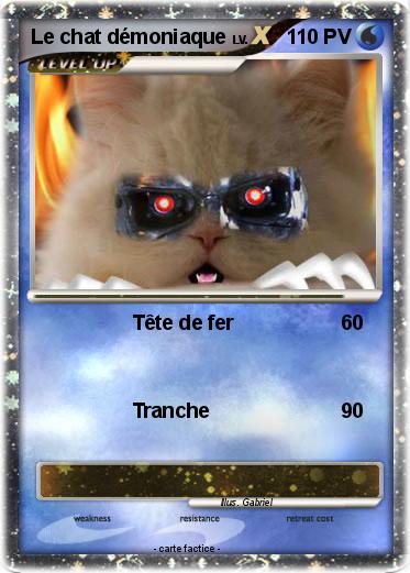Pokemon Le chat démoniaque