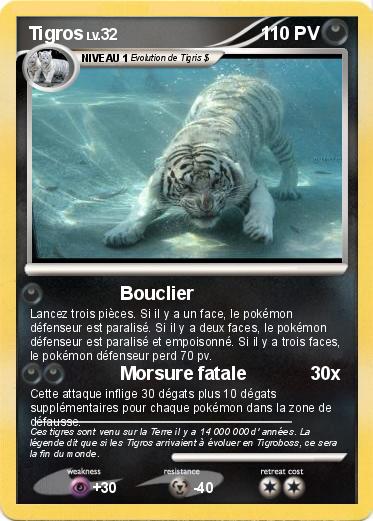 Pokemon Tigros