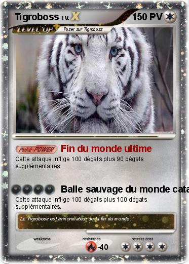 Pokemon Tigroboss
