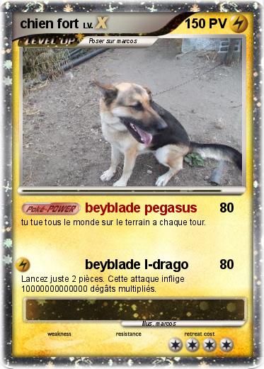 Pokemon chien fort