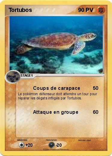 Pokemon Tortubos