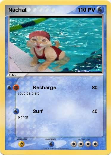 Pokemon Nachat