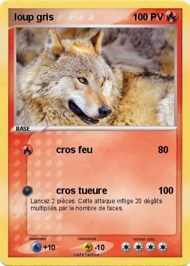 Pokemon loup gris