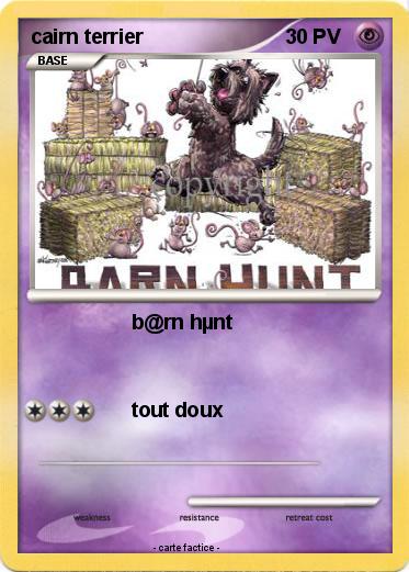 Pokemon cairn terrier