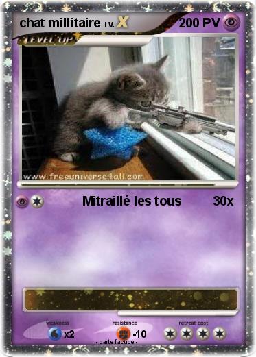 Pokemon chat millitaire