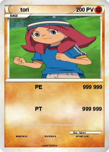Pokemon tori