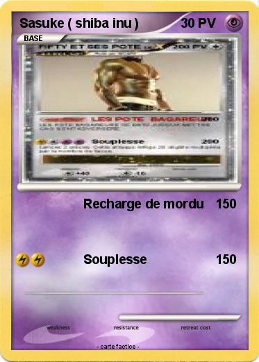 Pokemon Sasuke ( shiba inu )