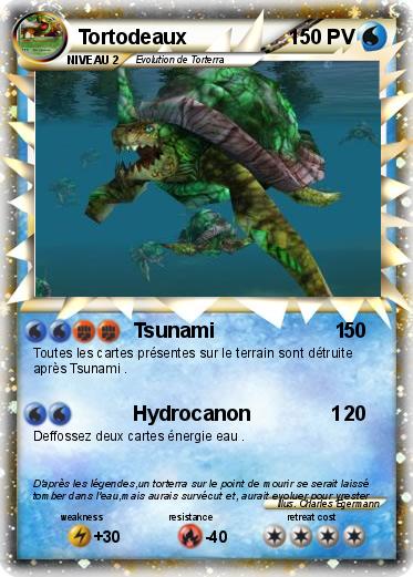 Pokemon Tortodeaux
