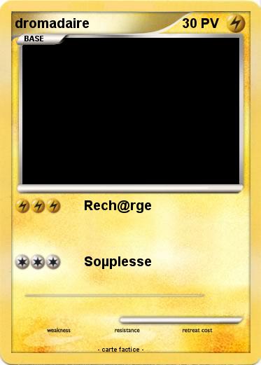 Pokemon dromadaire