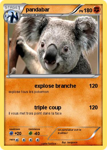 Pokemon pandabar