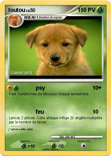 Pokemon toutou