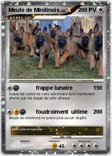 Pokemon Meute de Minilinois