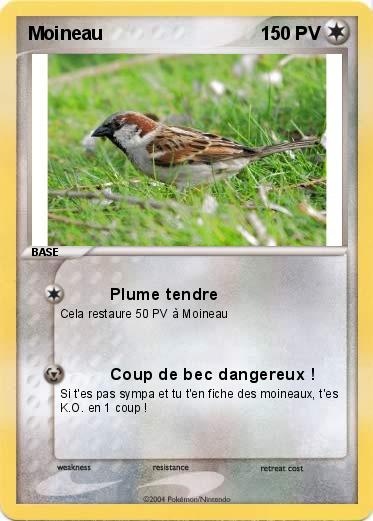Pokemon Moineau