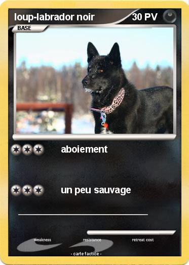 Pokemon loup-labrador noir