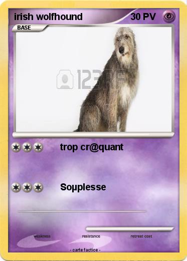 Pokemon irish wolfhound