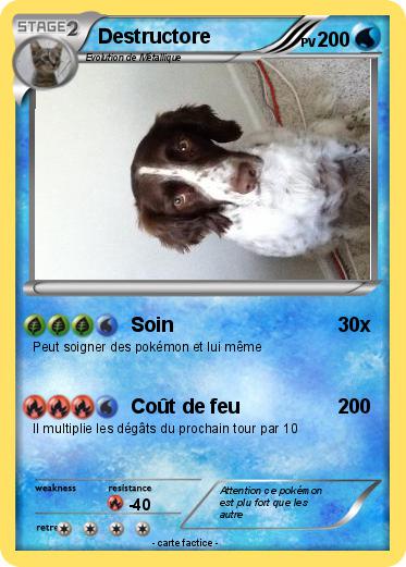 Pokemon Destructore
