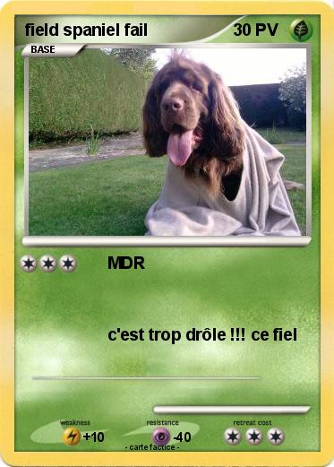 Pokemon field spaniel fail