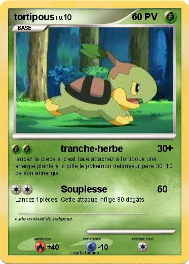 Pokemon tortipous