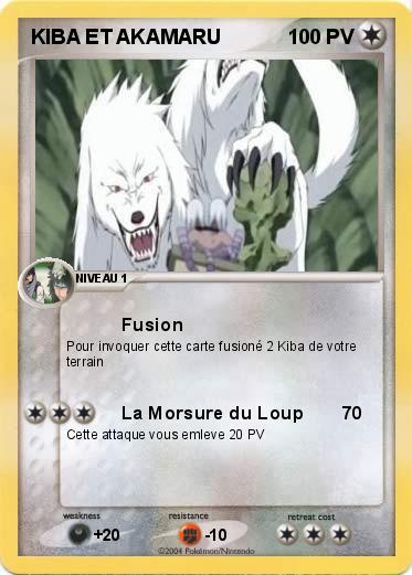 Pokemon KIBA ET AKAMARU