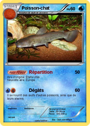 Pokemon Poisson-chat