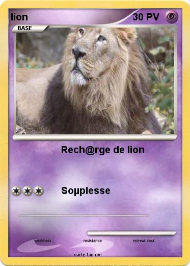 Pokemon lion